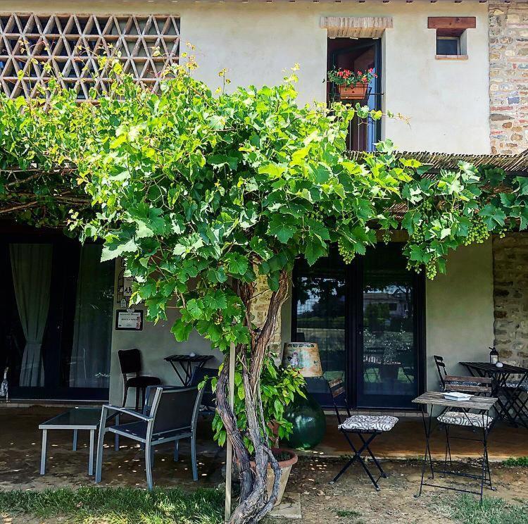 Bosco Ai Marzi Panzió Poggibonsi Kültér fotó