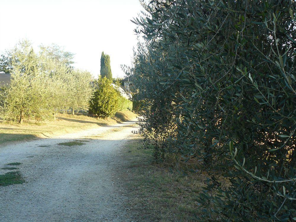 Bosco Ai Marzi Panzió Poggibonsi Kültér fotó